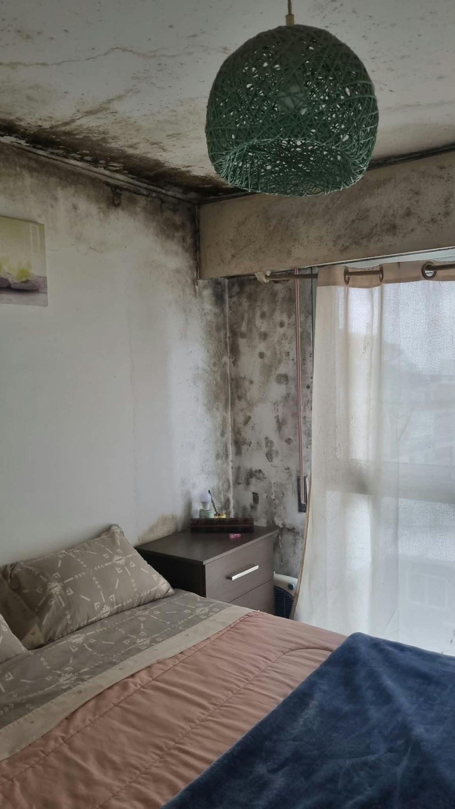 Dormitorio antes, con hongos visibles en paredes y techo